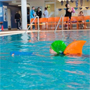 Плавник SwimFin