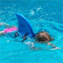 Плавник SwimFin